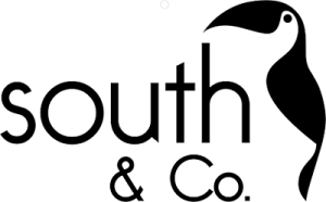 South-Logo-Oficial-300x186